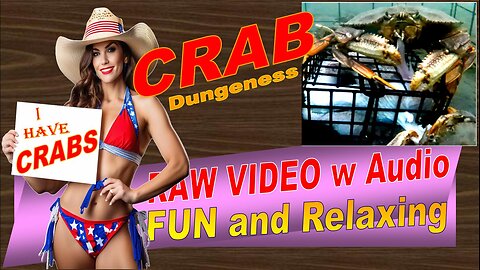 LovingKindWarm Crab Video Underwater Crab Pot Fish Boat ASMR Visual/Audio Fun Sept 2d 2024c Raw