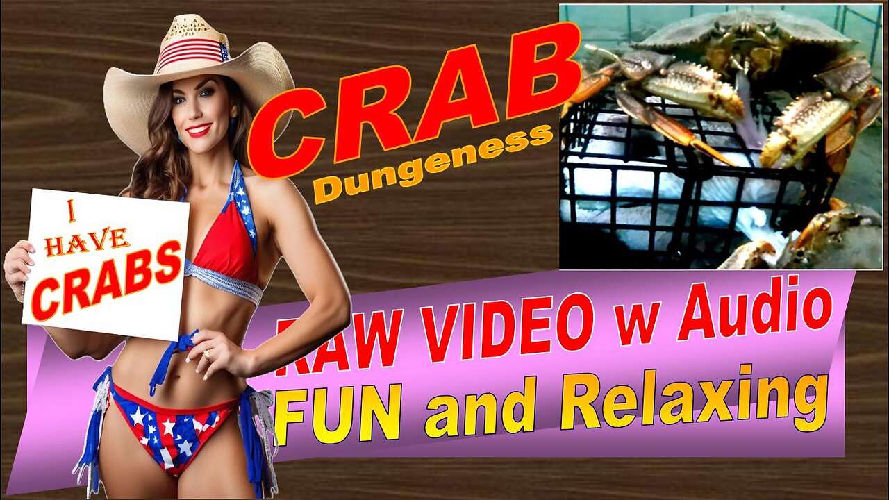 LovingKindWarm Crab Video Underwater Crab Pot Fish Boat ASMR Visual/Audio Fun Sept 2d 2024c Raw