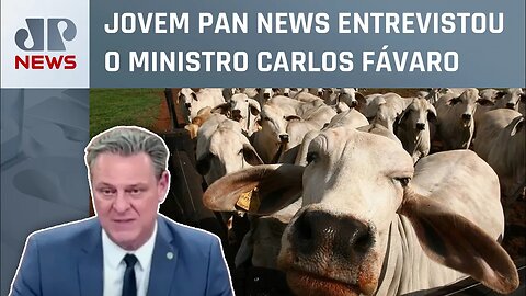 Ministro da Agricultura fala sobre caso de “vaca louca” no Pará