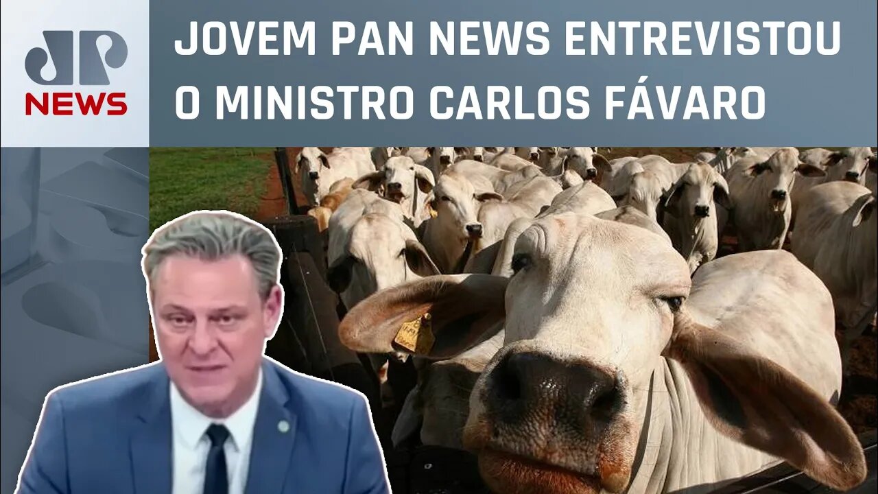 Ministro da Agricultura fala sobre caso de “vaca louca” no Pará