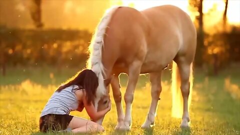 10 Beautifully Colored Rare Horse Breeds-10