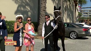 Derby Party | Morning Blend