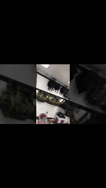 You need to be listening to @survivalpodcasting #shorts #youtubeshort #prepper #prepping #shtf #farm