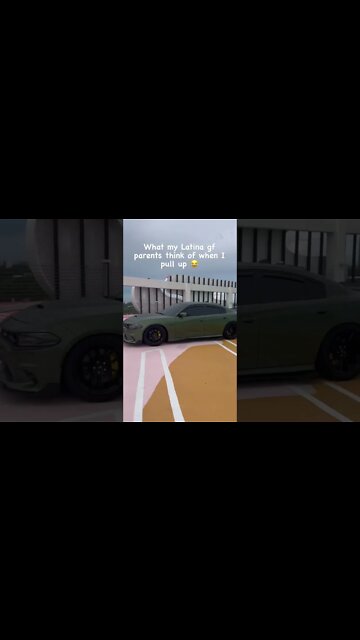 YALL NEED TO CHILL 😹😹😹😹