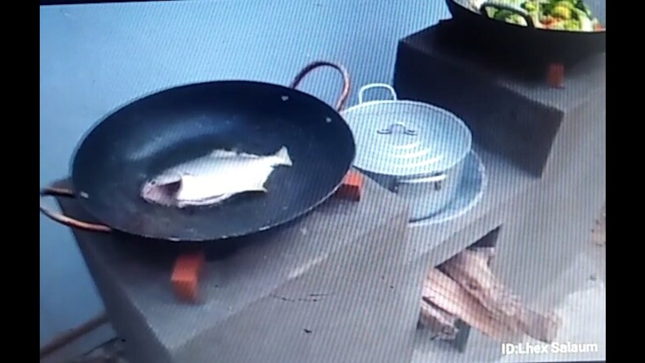 HOMEMADE FIREWOOD BURNER