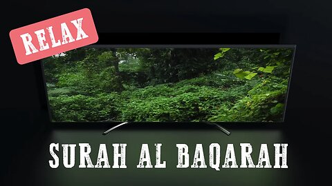 Relax | Surah Al Baqarah | Quran and Natural Sounds | Rain | for study, work, and sleep