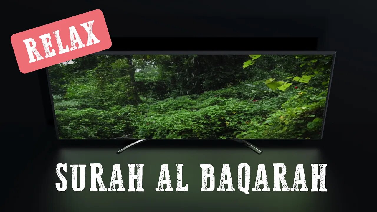 Relax | Surah Al Baqarah | Quran and Natural Sounds | Rain | for study, work, and sleep