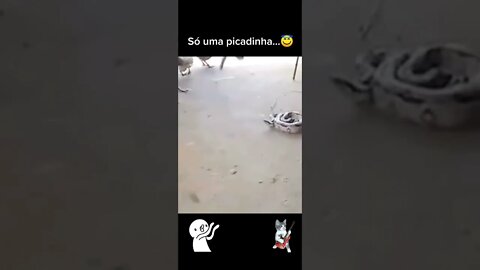 E SE NÃO SE INSCREVER TAMBÉM 😂😂