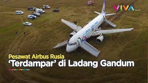 DARURAT! Pesawat Rusia Berisi 167 Penumpang 'Terdampar' di Ladang Gandum