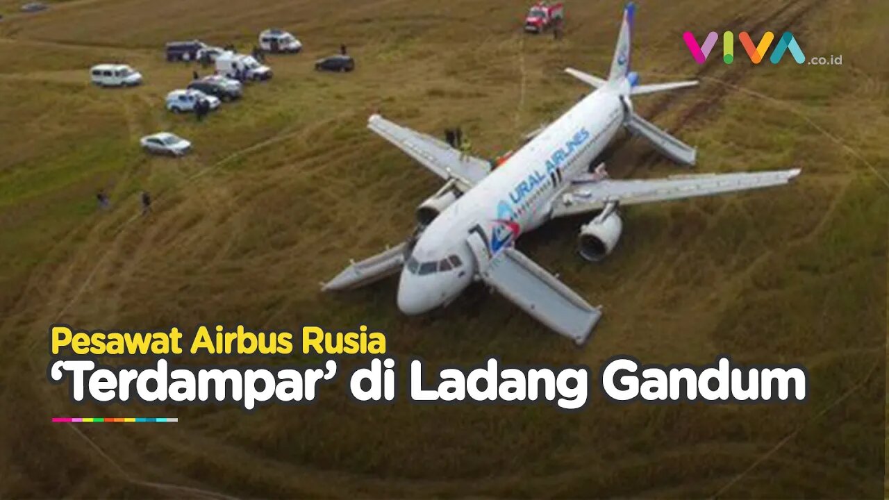 DARURAT! Pesawat Rusia Berisi 167 Penumpang 'Terdampar' di Ladang Gandum