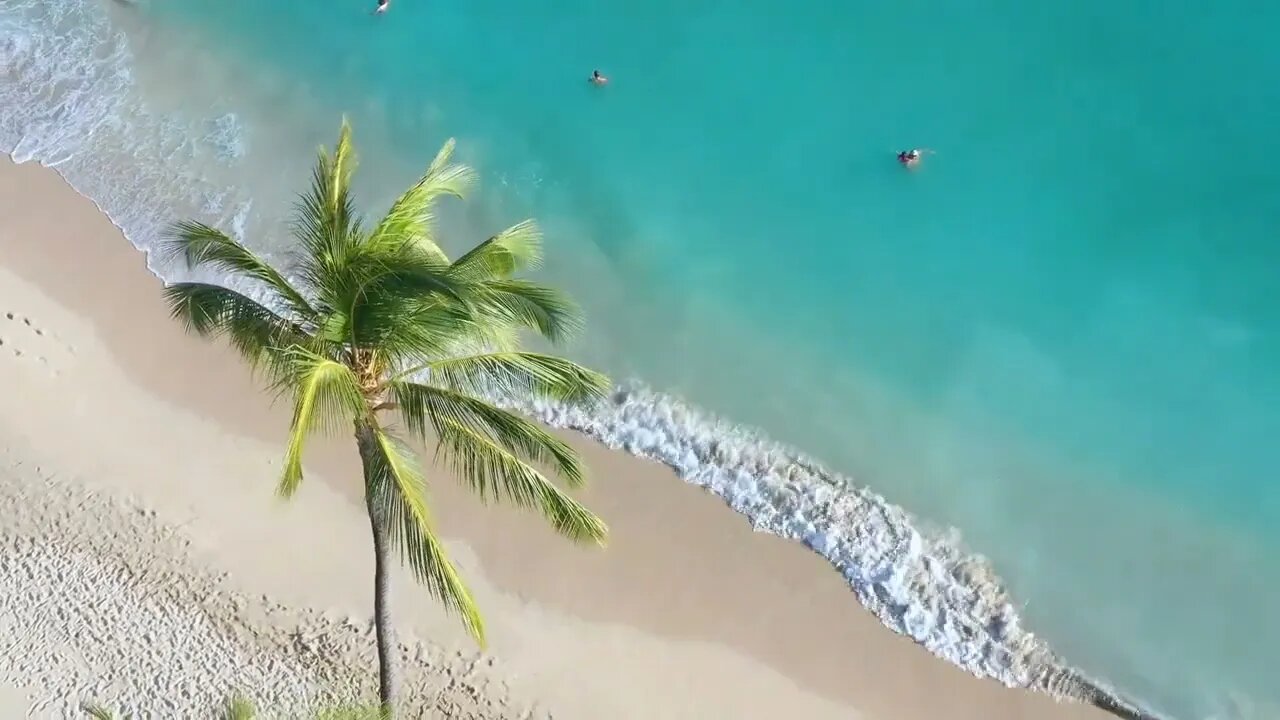 Relaxing Positive Vibe Nature Water Sound / Ocean Waves.