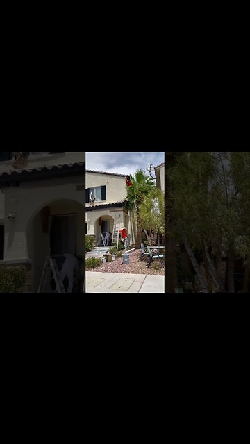 NEW PAINT: NEW LOOK #painting #painter #paint #paintmaster