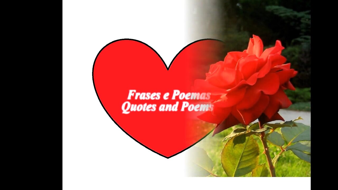 Bom dia meu amor, eu te amo, quero te amar para sempre! [Mensagem] [Frases e Poemas]