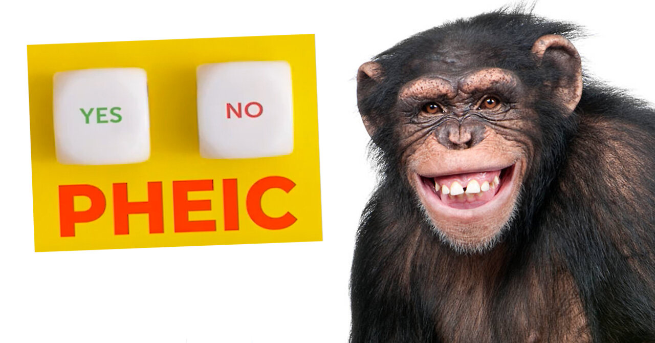 Monkeypox | Is the World Health Organization Going to Declaring a PHEIC? (Public Health Emergency of International Crisis)