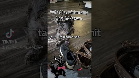 I accidentally taught my dog to "put'em up" to fight.