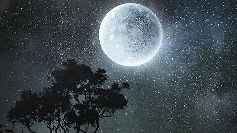 Don't get left in the Dust. #MoonDust