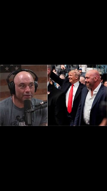 Joe Rogen talks about Donald trump