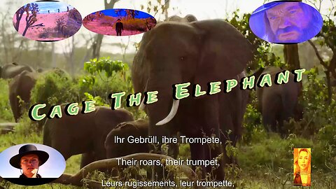 roar, rumble trumpet . Elephants . cageth`lephant!