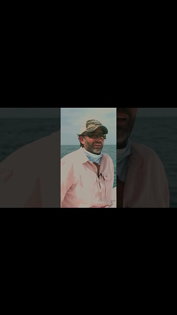 DJ & The Field Ethos, Ethos #shorts