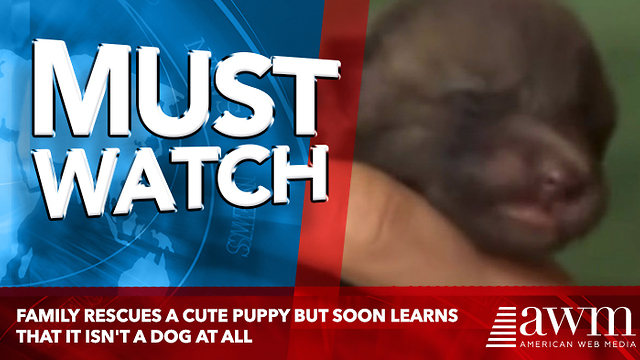 Family Rescues A Cute Puppy But Soon Learns That It Isn't A Dog At All