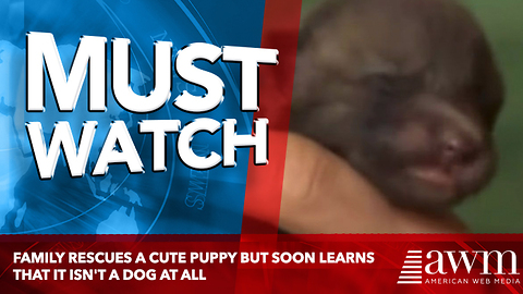 Family Rescues A Cute Puppy But Soon Learns That It Isn't A Dog At All