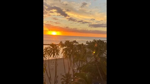 Hawaii Day 1, Travel Day 1, 12/1/2022