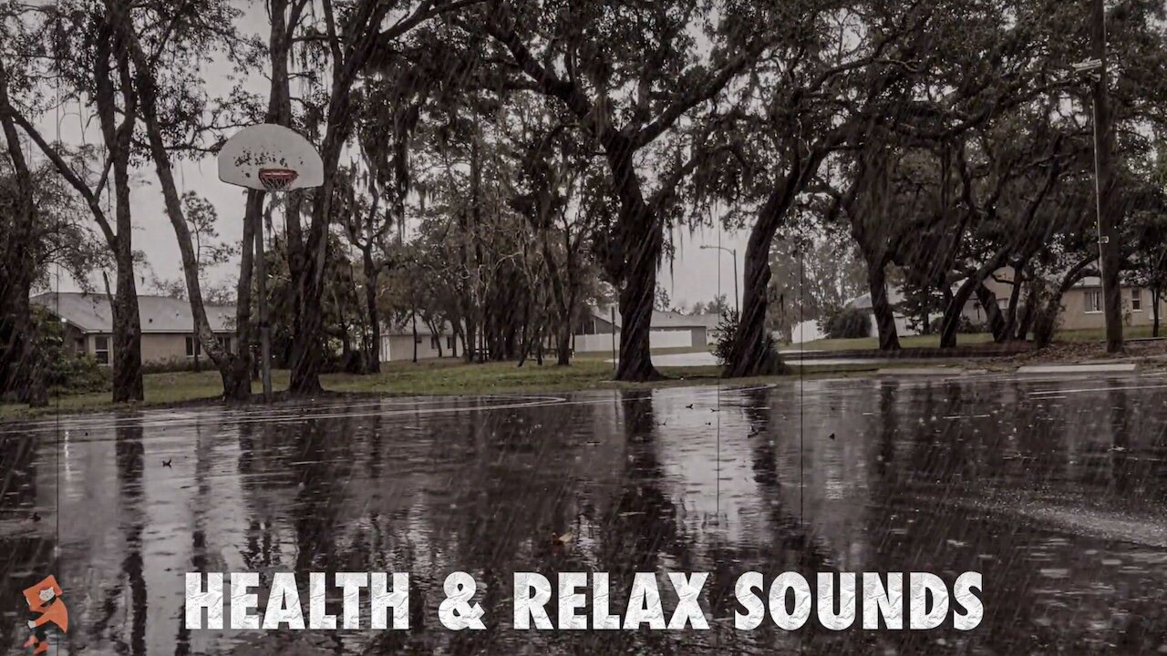 Rainy Day Retreat Relaxing to the Soothing Sounds of Rainfall