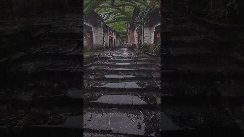 在雨声中倾听巷子的安静，缓缓进入甜美的睡眠。 #feel #rain #rainsounds #shorts #short #shortvideo