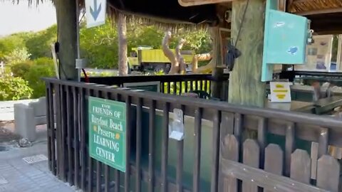 4K Barefoot Beach Preserve Walk Through Millionaire’s Row