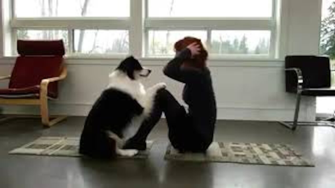 Dog Is Doing Yoga With His Owner | The Yoga Dog