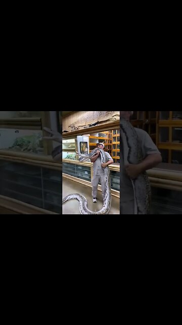 who wants to wrestle this snake 🐍