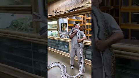 who wants to wrestle this snake 🐍