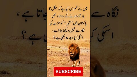 Lion is king of jungle with no respect here | interesting facts | funny quotes | joke in Urdu