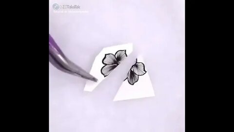 Amazing Video