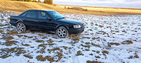 Что может Quattro