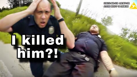 When DUMB Cops Shot Their Own Partners