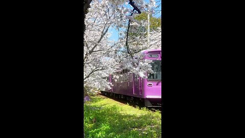 Beautiful train tracks