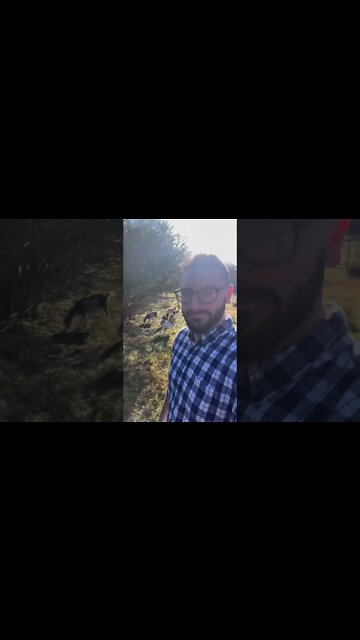 Morning Chores Not Going as Planned #shorts