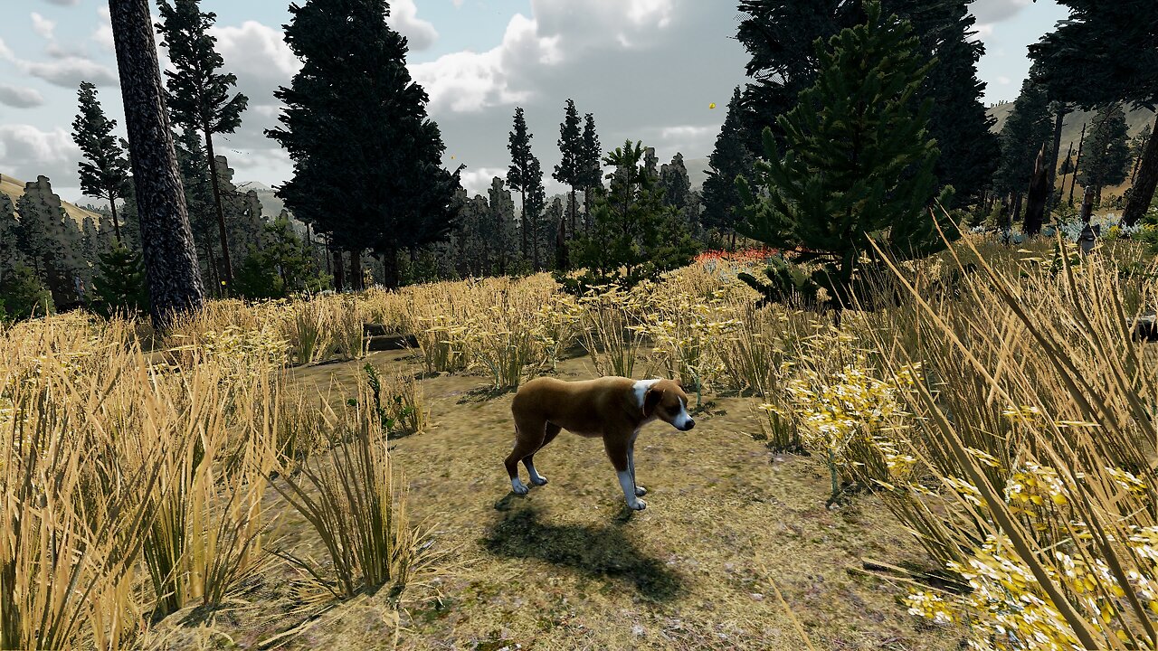 I Found Carmella! - WolfQuest: Anniversary Edition