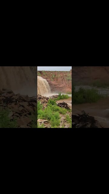 Oklahoma | Slagell Harvesting | WH23