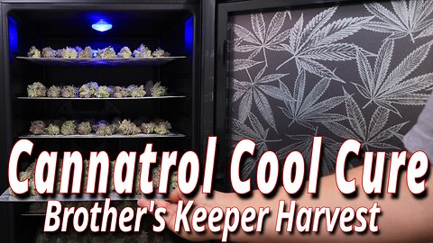 Cannatrol Cool Cure: Elevate Your Harvest Results