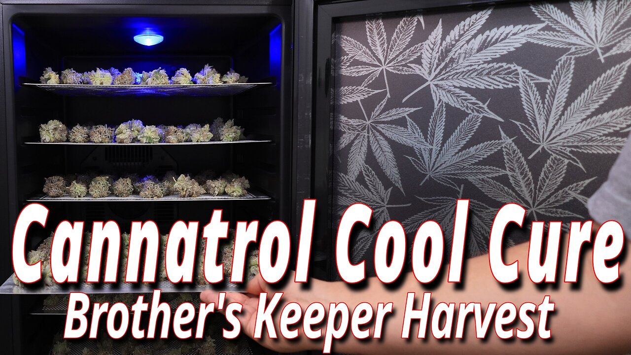 Cannatrol Cool Cure: Elevate Your Harvest Results