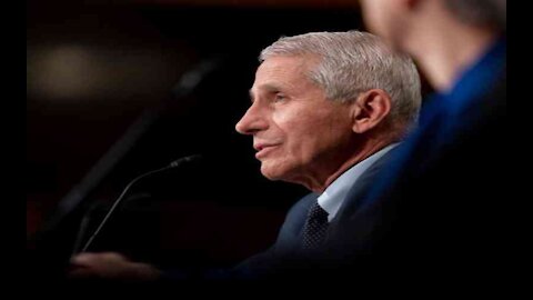 Rep. Mace to Newsmax: Fauci Must Answer to 'Gruesome' Dog Experiments