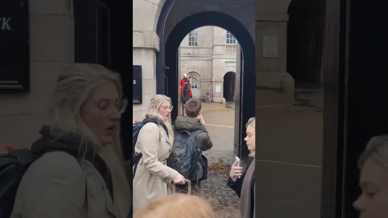 Horse backs out of box taken back in #horseguardsparade