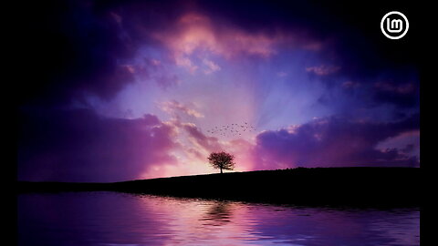 The Most Relaxing Frequency In The Universe