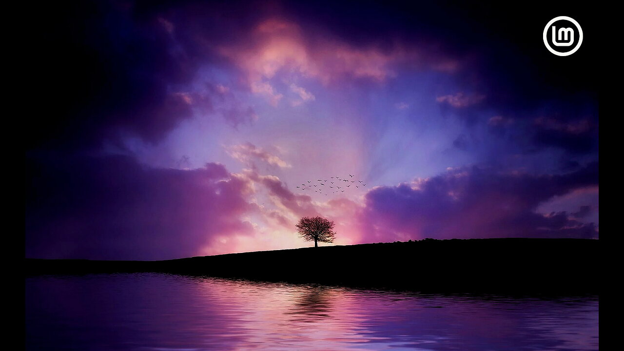 The Most Relaxing Frequency In The Universe