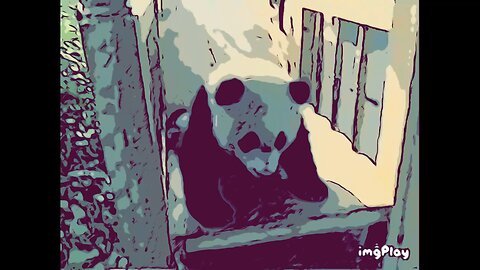 The Power Within☯️