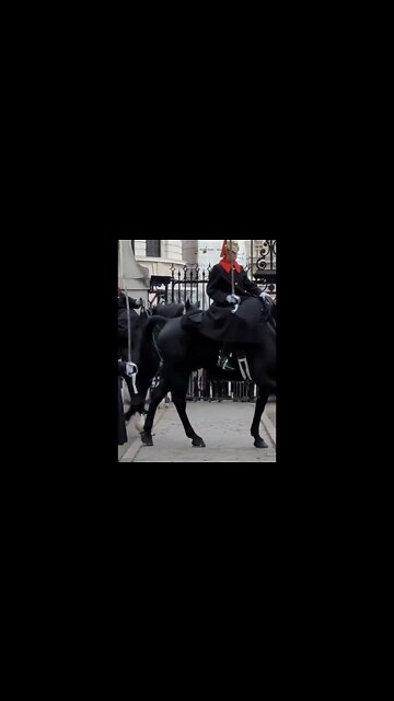 Right wheel march #horseguardsparade