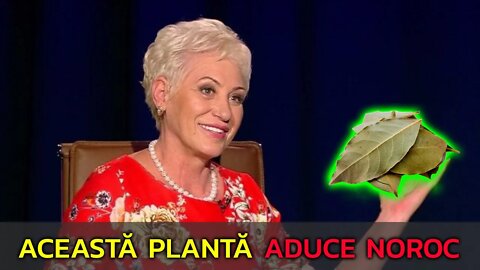 LIDIA FECIORU: ACEASTĂ PLANTĂ ÎȚI VA ADUCE NOROC