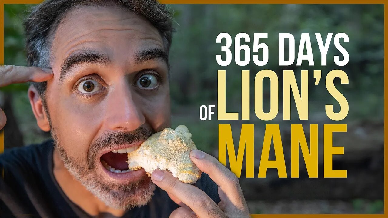 Unlocking the Secrets of Lion's Mane Mushrooms! The Science Explained...